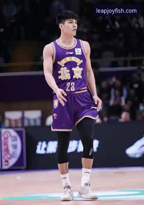 CBA状元陈国豪受限条款深度评测：从北控到广州的卡位战突围之道