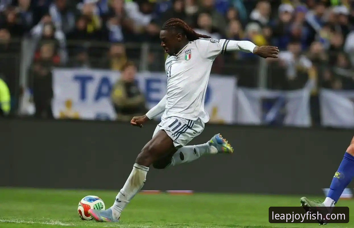 连续三届无缘世界杯：波黑点球大战淘汰意大利复盘与乐鱼体育观赛操作教程